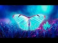 Capture de la vidéo The Butterfly Effect ⁂ Raise Positive Energy Vibrations ⁂ 432Hz Music