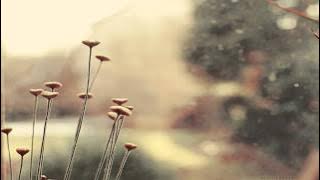 Sade - King Of Sorrow (Drum & Bass Remix) HD