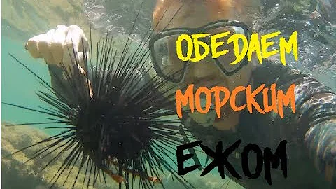 ЕДЯТ ЛИ МОРСКИХ ЕЖЕЙ - ПОДВОДНАЯ ОХОТА