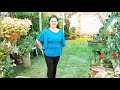 TOUR POR MI JARDÍN (PARTE 2) #jardinfloresdelcampo #flores #jardin #plantas #tour