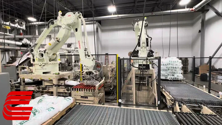 Conveying Industries Double Ice Palletizer - Kawasaki CP180L & ZDE130S