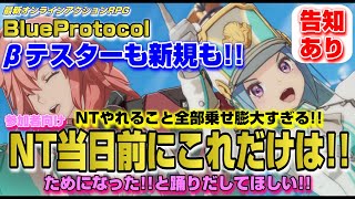 【BLUE PROTOCOL】NT参戦前に絶対確認！圧倒的ボリュームに備えは必須！新規向けオススメ選も【ブループロトコル】