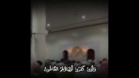 تلاوة خاشعة لسورة البقرة بصوت القارئ عبدالرحمن ناجي #عبدالرحمن_ناجي #محمد_اللحيدان #المصحف