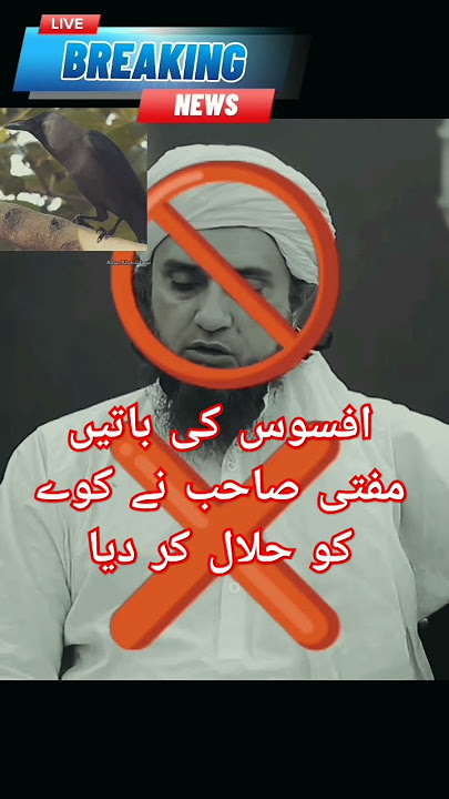 mufti Tariq Masood ne kauwa Halal kar diya #crow #kauwa #muftitariqmasood #halal #mufti #shorts