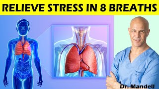 Relieve Stress in 8 Breaths - Dr Alan Mandell, DC Relieve Stress in 8 Breaths - Dr Alan Mandell, DC