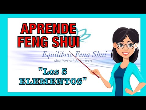 APRENDER 🧑🏼‍🎓 FENG