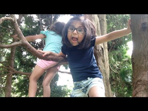 parking KIDS CLIMBING TREES | FAMILY VLOG