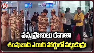 2 Arrested At Shamshabad Airport For Transporting Wildlife Animals | Hyderabad | V6 News