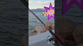 Ψαρεμα στον Κάλαμο🐠 #fishing #ψαρεμα #ψάρεμα #psarema #fy #fish #fyp #new #casting #viral #summer