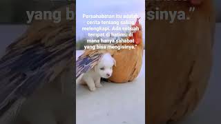 Download Lagu Arti sahabat⁉️ Saling mengisi dan melengkapi, meski berbeda ras dan suku 💞 #shortvideo #kata #viral MP3