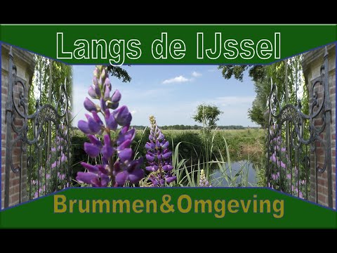 Brummen en omgeving een ideaal vakantie gebied