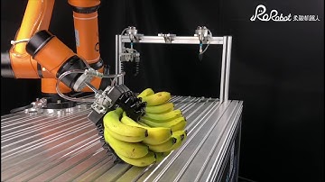 Rochu Soft robotic gripper-Banana