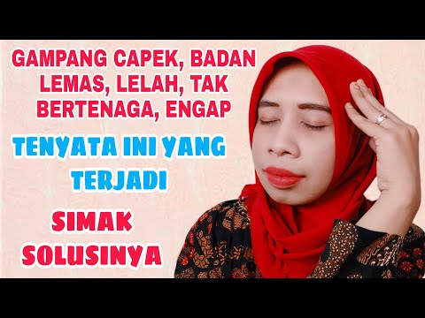 Video: Pet saya tiba-tiba lelah dan lemah. Apa yang Menyebabkan Ini?