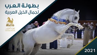 بطولة العرب ٢٠٢١ لجمال الخيل العربية الأصيلة