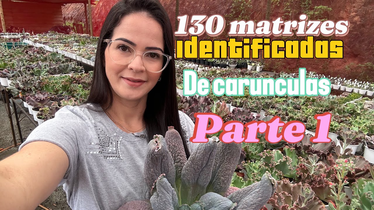 130 matrizes de carunculas (parte 1)