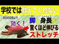 【学校では教えてくれない】身長を伸ばすストレッチ　ロングバージョン