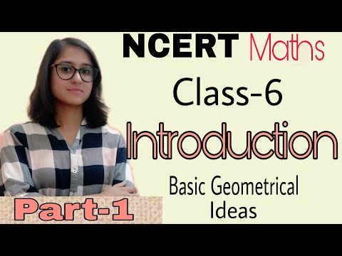 class 6 Basic