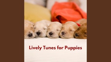 Grand Moods for Forgetting Mirrors