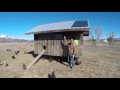 ABC acres: Mobile Chicken Coop Review - Version 1.0 - episode #013 ABC acres: Mobile Chicken Coop Review - Version 1.0 - episode #013