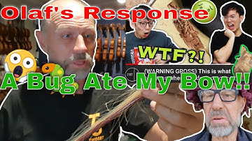 Bow hair bugs?!?  Olafs response to TwoSet violin Bug Video