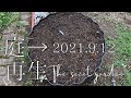 【2021.9.12】庭再生vlog｜種まきの季節到来！｜波板ベッドへビーツの直まきとプラグトレーに種蒔き