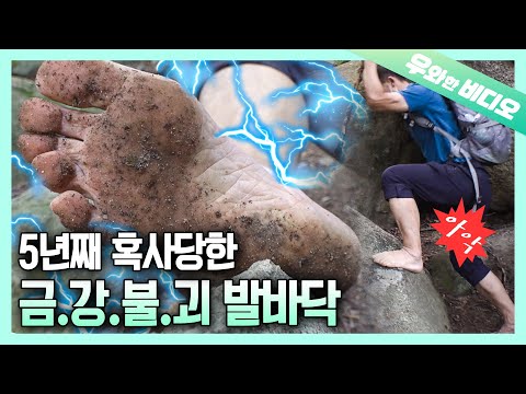 5년째 왕복 4시간을 맨발로 출퇴근하는 🔥금🔥<strong>강</strong>🔥불🔥괴🔥 발바닥👣!!!┃5 Years of Walking Barefoot for <strong>4</strong> Hours Everyday👣