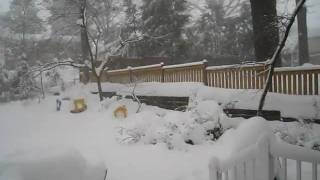 2010 02 10_blizzard.AVI