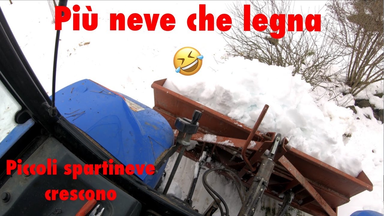 Una palettata di legna 🔥 ❄️ 🚜 new holland tl 100 a