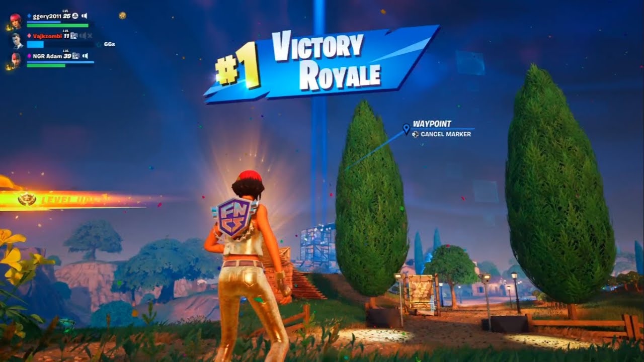 fortnite win