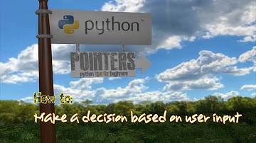 Python Pointers: how to make a decision based on user input