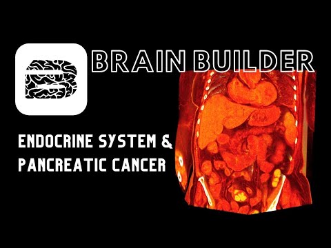 Endocrine System and