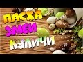 ПАСХАЛЬНЫЕ УДАВЫ/ПАСХА/ЗМЕИ/КУЛИЧИ/В КОНЦЕ СЮРПРИЗ!