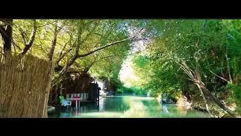 ما تيسر من سوره طه الايه 25 ،26