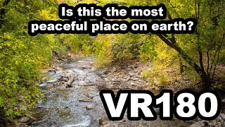 Peaceful Autumn River-walk at Swinging Bridge American Fork Canyon UT VR180