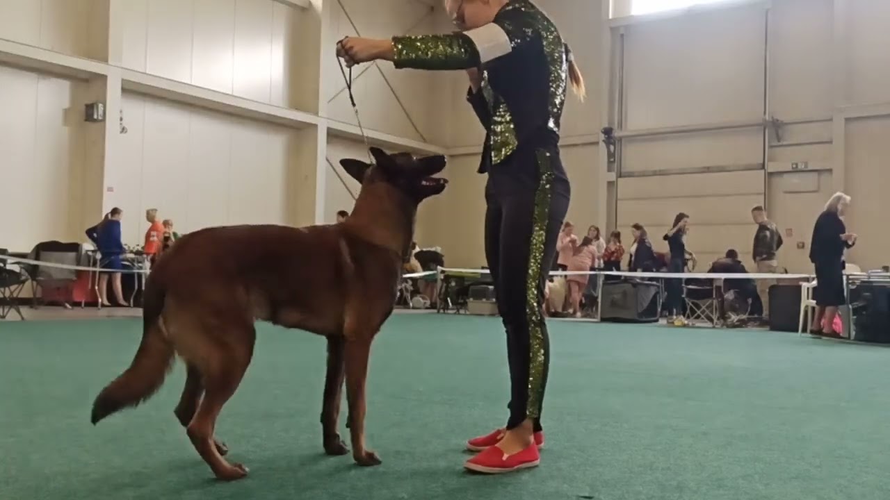 Victory show Champion of champions SK 2023