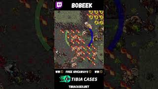 BOBEEK DEAD? #tibiadose #tibia #tibiaclips