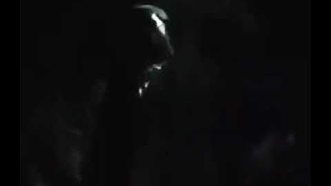 Tryna Get Down Snippet Playboi Carti