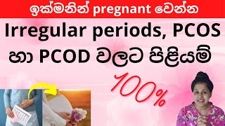 Irregular periods, PCOS, PCOD | osap chakraya | get pregnant fast sinhala | ikmanin pregnant wenna