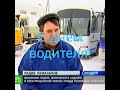 С Днем водителя - прикол!