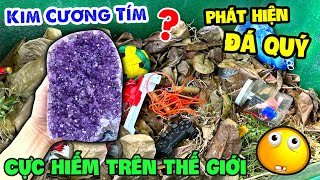 Phát Hiện Hang Đá Thạch Anh Tím Trong Thùng Rác - Thạc Đức Vlog