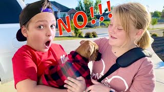 Shot Of The Yeagers Want My Puppy