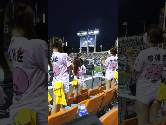 ???????? 잠실에 귀여운 냥이 3마리 출현 ???????? 신서윤X박예은X장로나 치어리더 아웃송 직캠 fancam