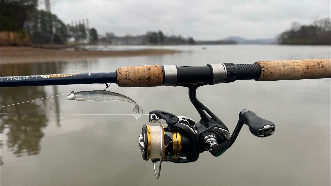 Охота на стайного окуня в Теннесси! Жаркий клёв на маленькие приманки! Много видов!