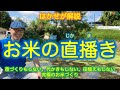はかせが解説【お米の直播き】苗づくりもしない、代かきもしない、田植えもしない、究極のお米づくり