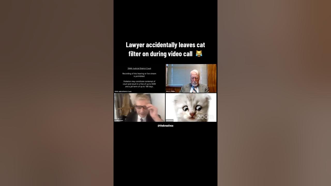 “I’m not a cat.” 😹 A Texas lawyer accidentally left a kitten filter on during a Zoom video call