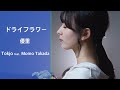 【歌ってみた】ドライフラワー - 優里  /Tokjo feat. 高田もも【カバー】