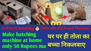 घर में बनाएं hatching 🐣 मशीन और तोते के बच्चे निकलवाए | Make hatching machine at home only 50 Rupees