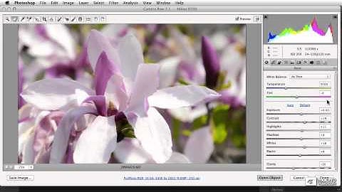 Photoshop CS6 104: Introduction to Layers and Smart Objects - 25. Opening Photos as Smart Objects