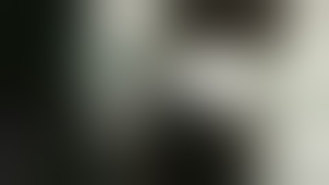 Roudive Diode Receiver EVP experiment (lots of SPIRIT talking!)