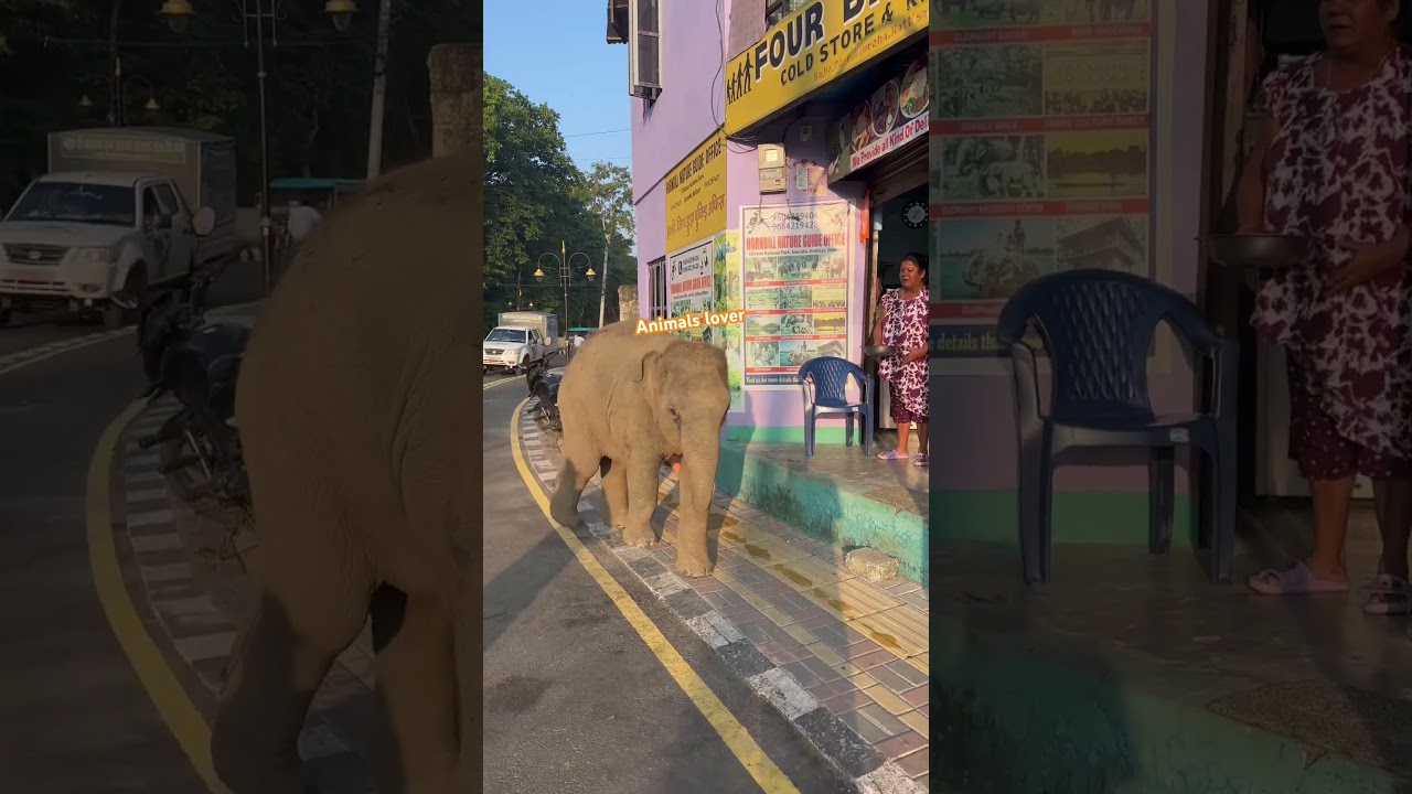 Morning breakfast taking two apple 🍎
